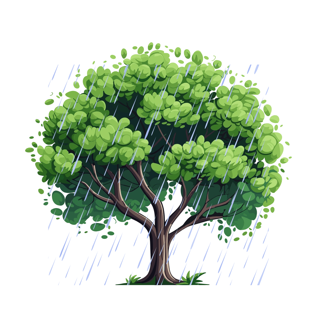 Students Intakes in countries